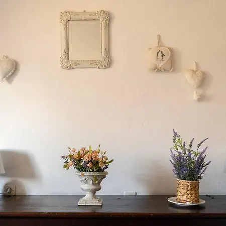Il Gatto Holiday home Gaiole in Chianti